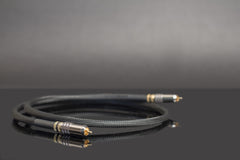 Digital Interconnect