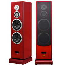 Fostex G2000a - Diffusore